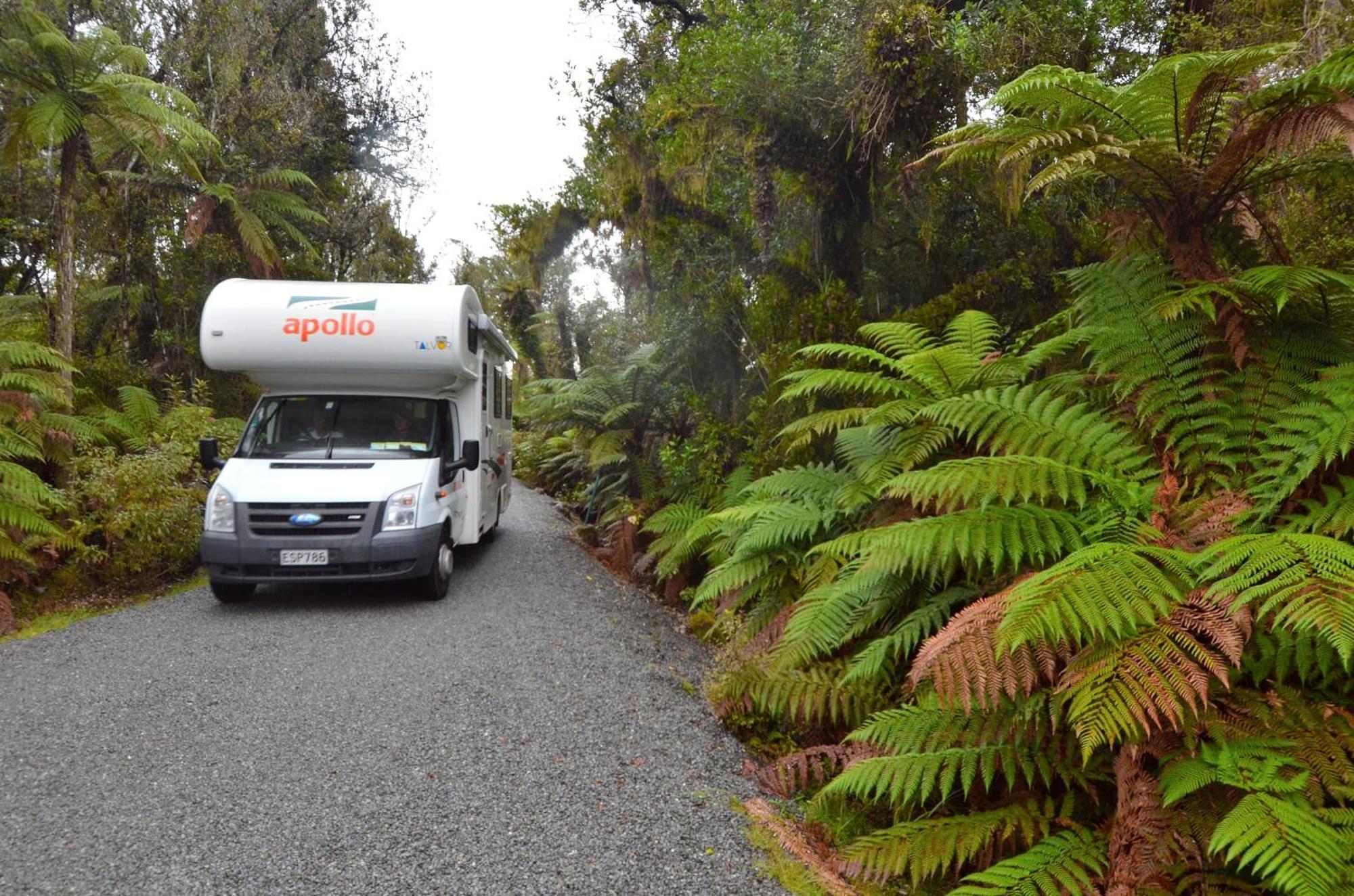 Rainforest Retreat Franz Josef Eksteriør bilde